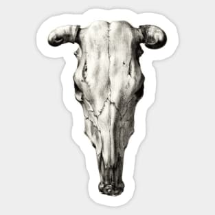 Skeleton skull of a cow Sticker